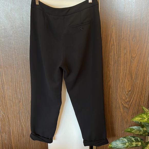 Aritiza Wilfred Allant Pants Size 2 - Picture 7 of 7